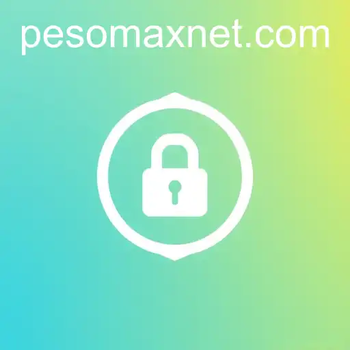 Understanding Privacy Policies: The Case of PesoMax